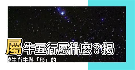 屬牛五行|【屬牛五行】屬牛五行解析：五行欠缺與旺財植物大公開！